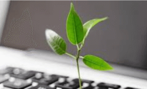 Sustainable Innovation in the Digital Age